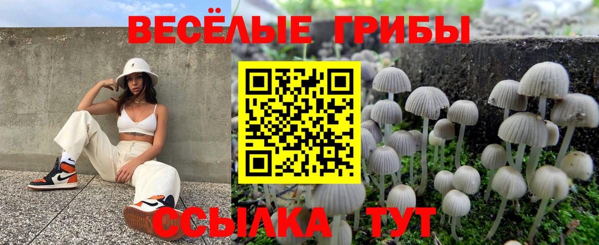 хочу   Вход с VPN  Минусинск  Галлюциногенные грибы мицелий 